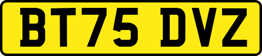 BT75DVZ