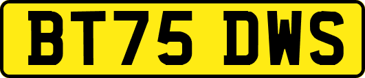 BT75DWS