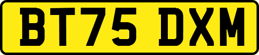 BT75DXM
