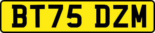 BT75DZM