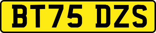 BT75DZS