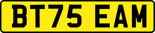 BT75EAM