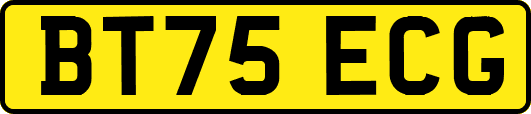BT75ECG