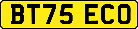 BT75ECO