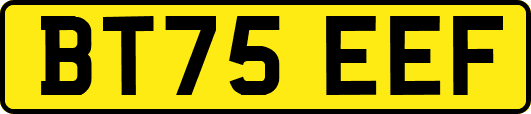 BT75EEF