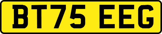 BT75EEG