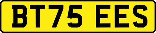 BT75EES