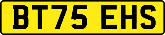 BT75EHS
