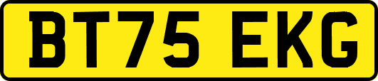BT75EKG