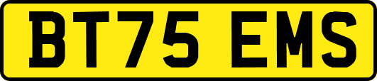 BT75EMS
