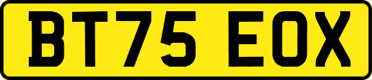BT75EOX