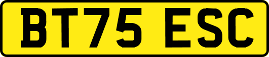 BT75ESC