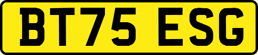 BT75ESG
