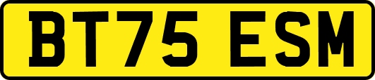 BT75ESM
