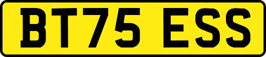 BT75ESS