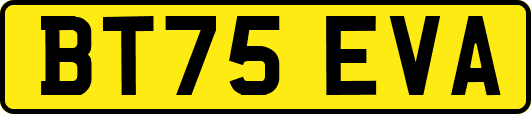 BT75EVA