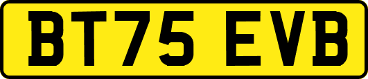 BT75EVB
