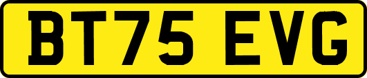 BT75EVG