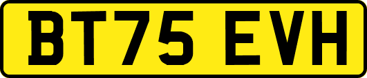 BT75EVH