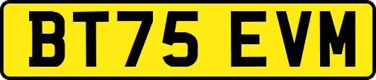 BT75EVM