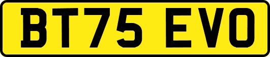BT75EVO