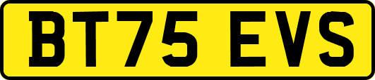 BT75EVS