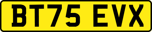 BT75EVX