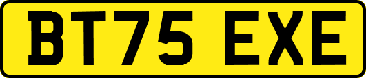 BT75EXE