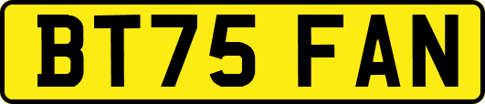 BT75FAN
