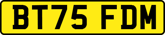 BT75FDM