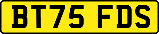 BT75FDS