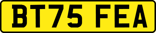 BT75FEA