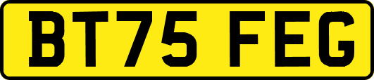 BT75FEG