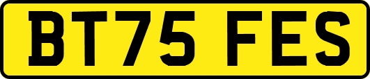 BT75FES