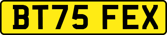 BT75FEX