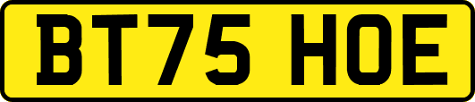 BT75HOE