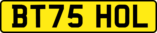 BT75HOL