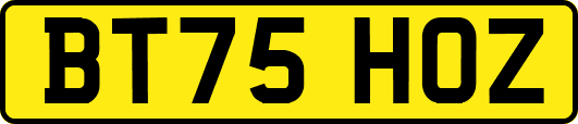 BT75HOZ