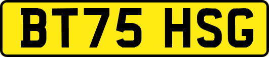 BT75HSG