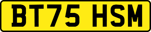 BT75HSM