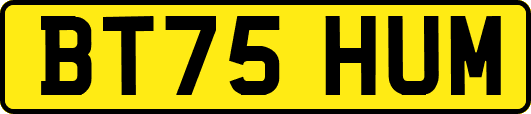 BT75HUM