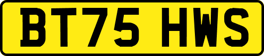 BT75HWS