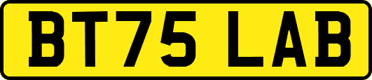 BT75LAB