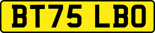 BT75LBO