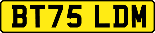 BT75LDM