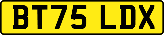 BT75LDX