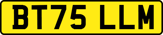 BT75LLM
