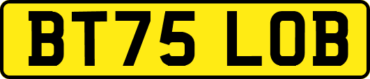 BT75LOB