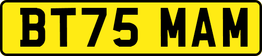 BT75MAM