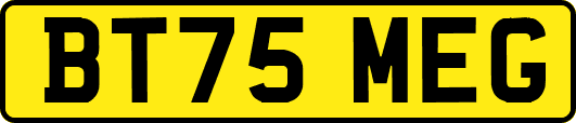 BT75MEG